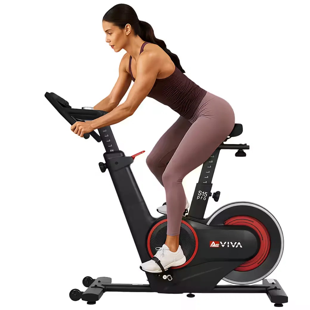 ASVIVA S15 Indoor Cycle Spinning Heimtrainer Schwarz