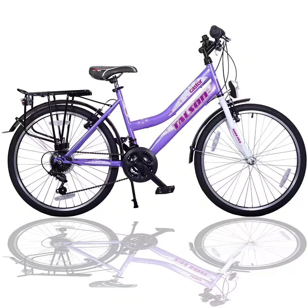 Cityrad 26 Zoll Citybike Fahrrad